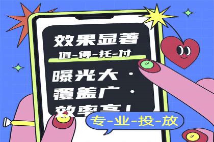 竞价托管实战案例：优化广告投放策略
